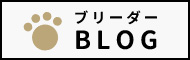 スタッフBLOG