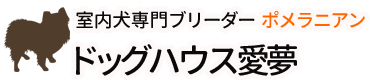 室内犬専門ブリーダー ポメラニアン ドッグハウス愛夢