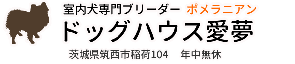 室内犬専門ブリーダードッグハウス愛夢 茨城県筑西市稲荷104